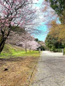 白峯寺 崇徳天皇 白峯陵から駐車場へ進む道