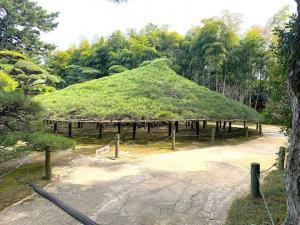 中津万象園 千代の傘松