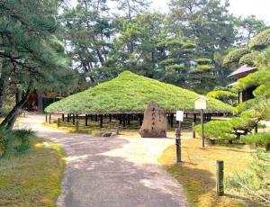 中津万象園 千代の傘松