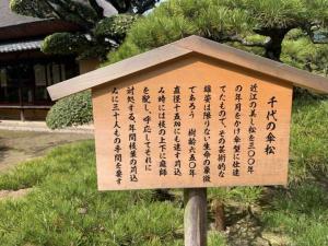 中津万象園 千代の傘松