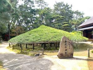 中津万象園 千代の傘松