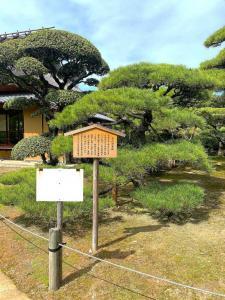 中津万象園 千代の傘松