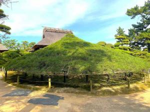 中津万象園 千代の傘松