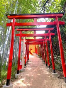 中津万象園 百本の鳥居回廊