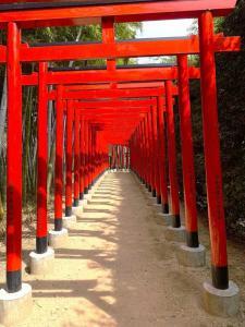 中津万象園 百本の鳥居回廊