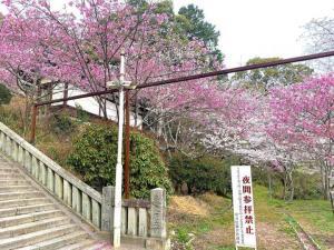 金刀比羅宮　一之坂の石段の様子