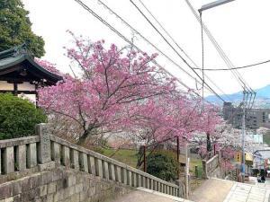 金刀比羅宮　一之坂の石段の様子