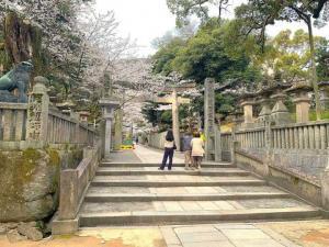 金刀比羅宮　桜馬場の参道と鳥居