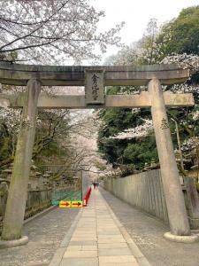 金刀比羅宮　桜馬場の参道と鳥居
