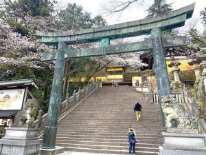 金刀比羅宮　桜馬場西詰銅鳥居