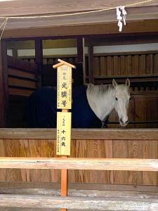 金刀比羅宮 神馬舎