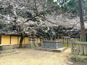 金刀比羅宮　祓戸社・火雷社のあるエリア