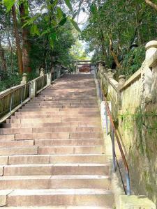 金刀比羅宮　本宮へ続く急な石段(往路)