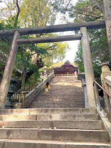 金刀比羅宮　本宮へ続く急な石段(往路)　本宮が見えてきます…