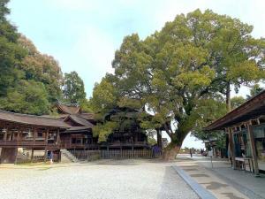 金刀比羅宮　「本宮・拝殿」南から撮影