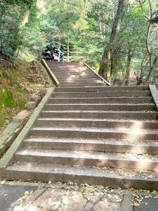 金刀比羅宮　奥社への参道