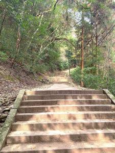 金刀比羅宮　奥社への参道