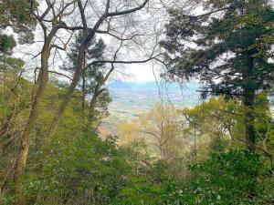 金刀比羅宮　奥社への参道(金刀比羅宮　奥社・嚴魂神社 手水舎付近からの景色)