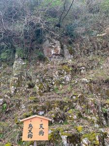 金刀比羅宮　奥社・嚴魂神社にいらした天狗