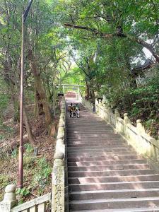 金刀比羅宮　「本宮・拝殿アリア」～「旭社」への石段(復路)