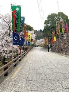 金刀比羅宮　旧金毘羅大芝居(金丸座)