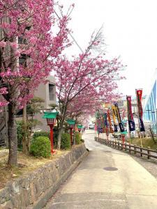 金刀比羅宮　琴平町公会堂と琴平グランドホテル前の道