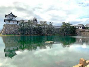 東側からの今治城