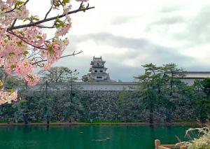 東側からの今治城(桜とコラボ)
