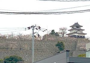 丸亀城(北側からの遠望)