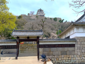 丸亀城大手門(高麗門)と天守