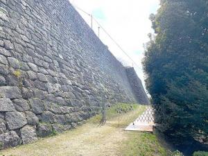 丸亀城 高石垣