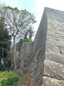丸亀城 高石垣