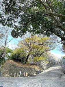 丸亀城 三の丸東張出石垣