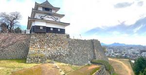 丸亀城天守(長崎櫓跡付近より)