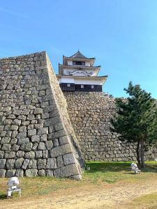 丸亀城天守(三ノ丸北側より)