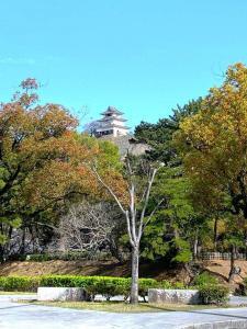 丸亀城 裁判所前交差点付近からの天守