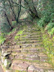 宇和島城 井戸丸~三ノ丸付近