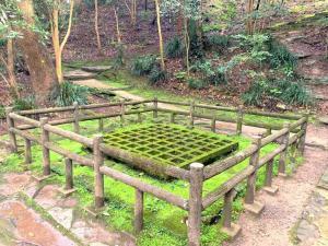 宇和島城 井戸丸跡(苔むしていていい感じです!)