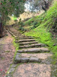 宇和島城 井戸丸門跡付近