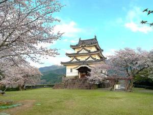 宇和島城　天守(桜とのコラボです！)