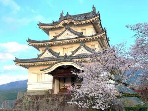 宇和島城　天守(桜とのコラボです！)