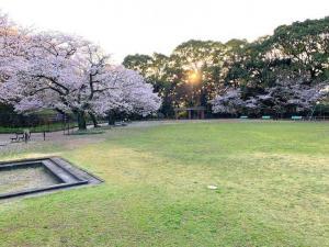 宇和島城 長門丸跡