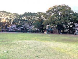 宇和島城 長門丸跡