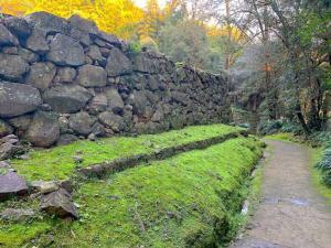 宇和島城 枡形門跡の様な虎口?