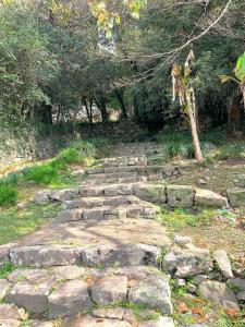 宇和島城 立ち上がり門から続く、急な階段