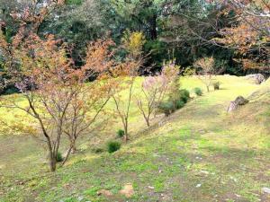 宇和島城 式部丸跡