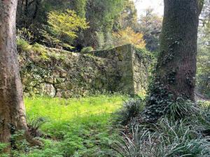 宇和島城 式部丸跡~代右衛門丸 石垣付近