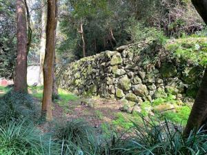 宇和島城 式部丸跡~代右衛門丸 石垣付近