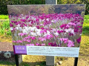 天赦園　花菖蒲説明看板