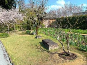 天赦園　入口入った所(かずら石？と花咲いていませんが、花菖蒲エリア)